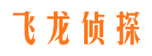 颍泉侦探